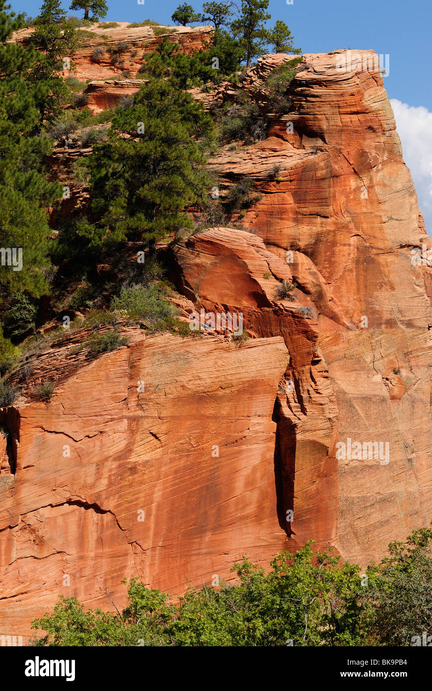 Bordo roccioso di angeli lo sbarco nel Parco Nazionale di Zion, Utah, Stati Uniti d'America Foto Stock