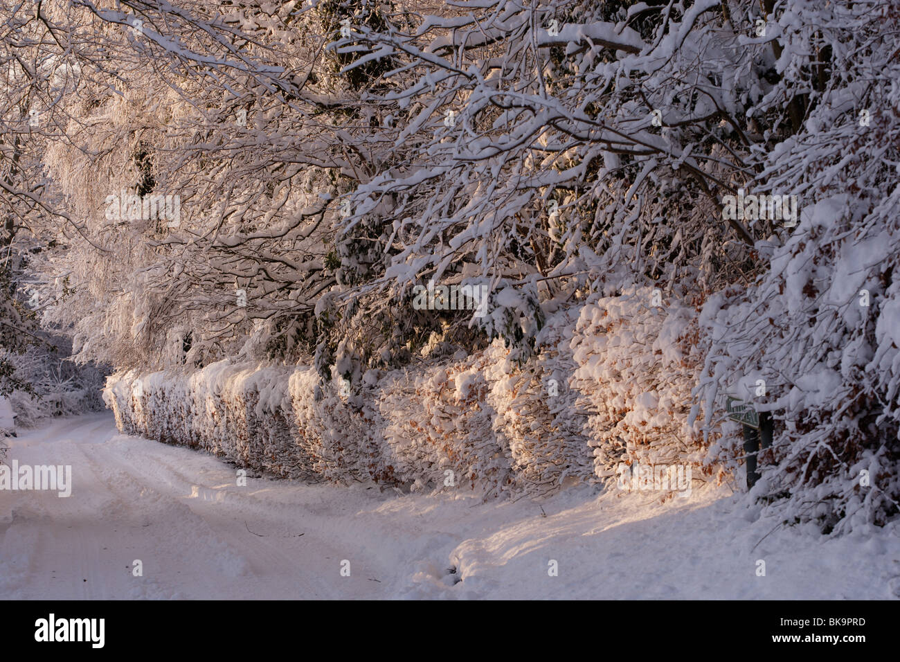 Snowy lane nel paese Foto Stock