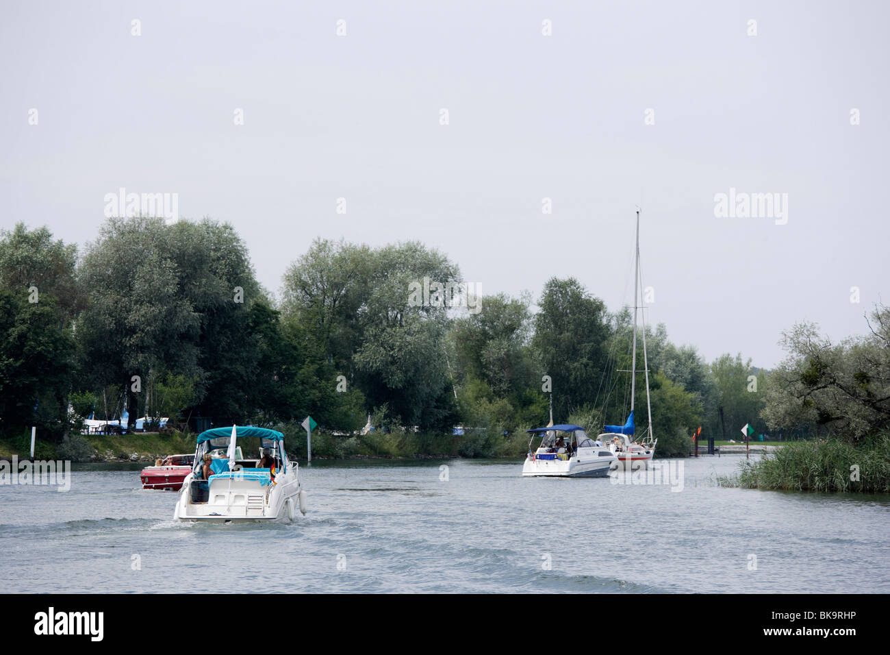 Delta del Reno, Vorarlberg, Austria Foto Stock