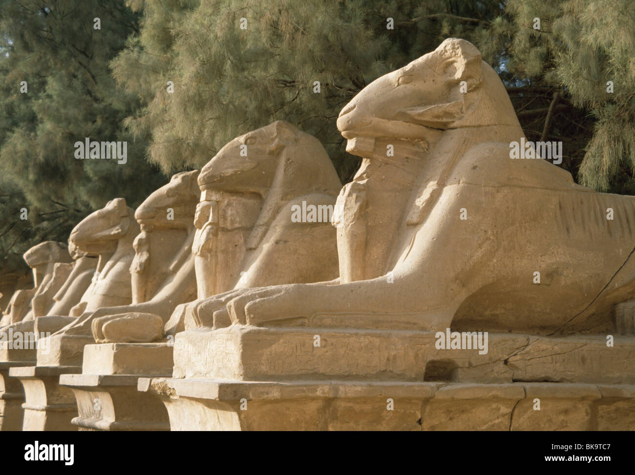 Sphinx Alley, Egitto, Luoxor, Tempio di Karnak Foto Stock