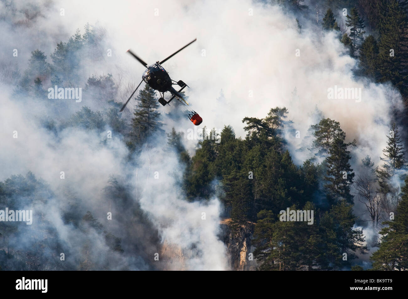 Incendio di foresta nella gamma di Karwendel vicino a Innsbruck in Tirolo, Austria Foto Stock