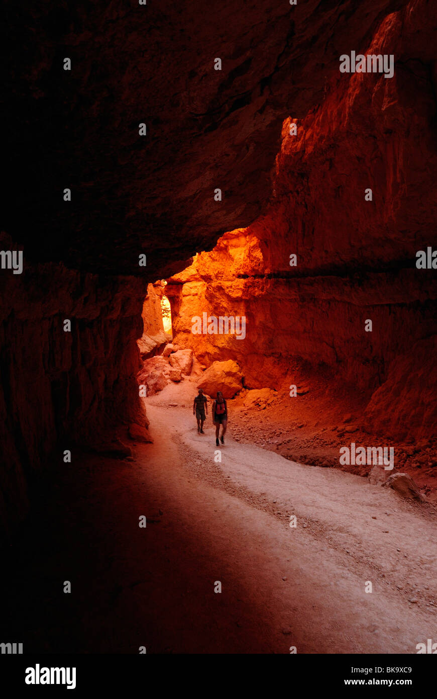 La gente che camminava sul loop Navajo nel Bryce Canyon dello Utah, Stati Uniti d'America Foto Stock