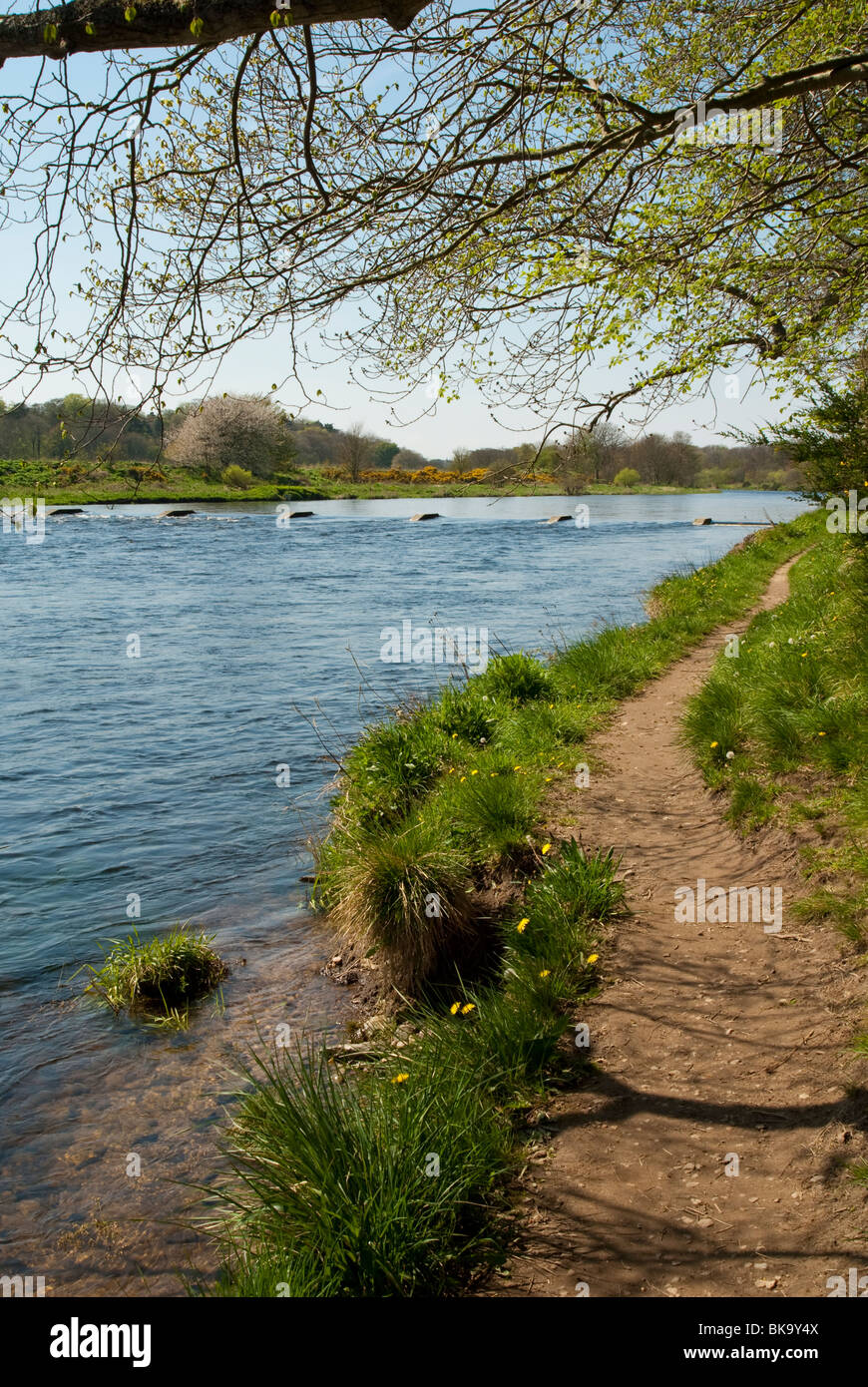 Fish Counter and Path presso il fiume Dee, Aberdeen, Scozia Foto Stock
