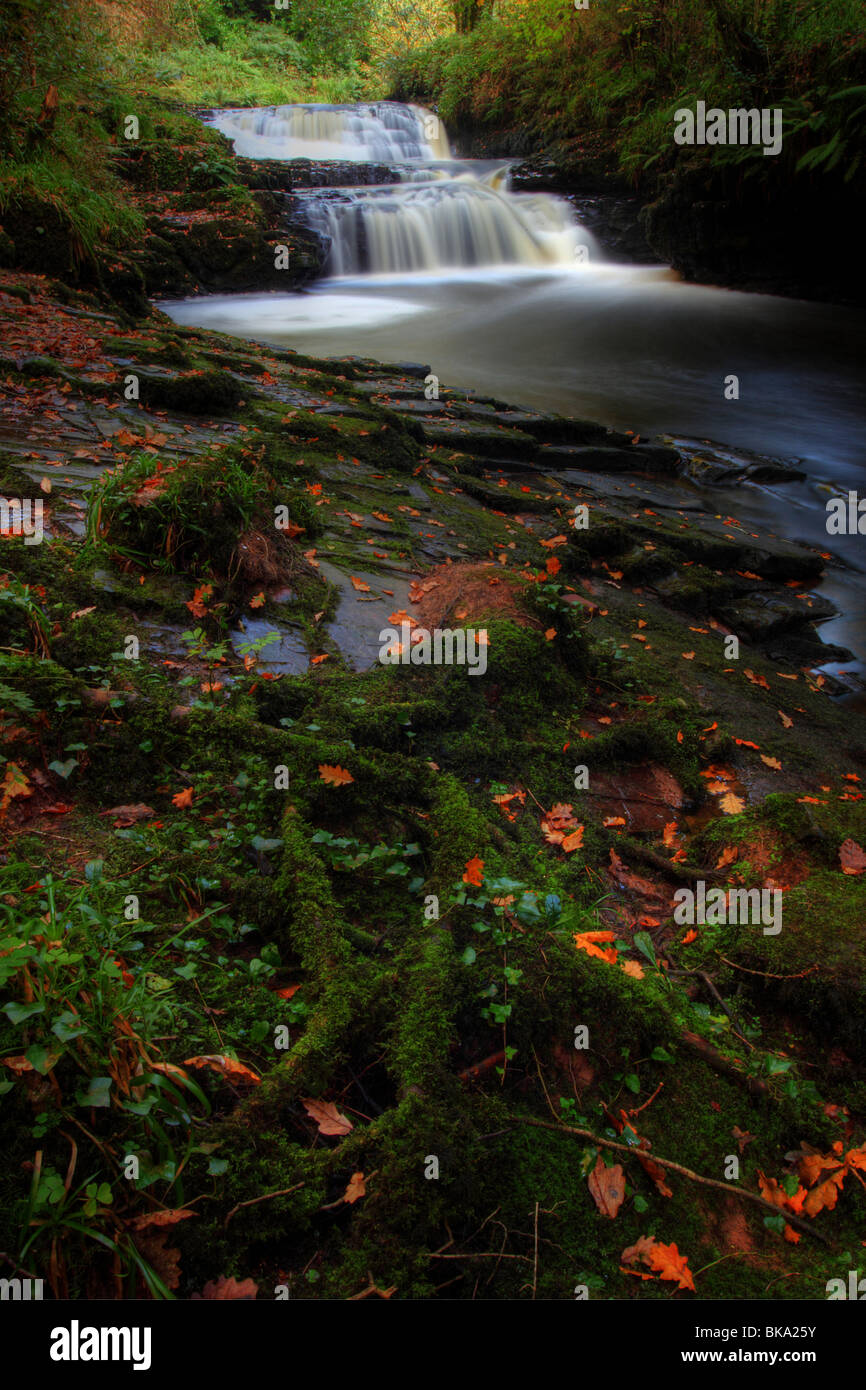 Una cascata sulla la Mulcair fiume che scorre attraverso la Clare Glens vicino a Newport County Tipperary Foto Stock