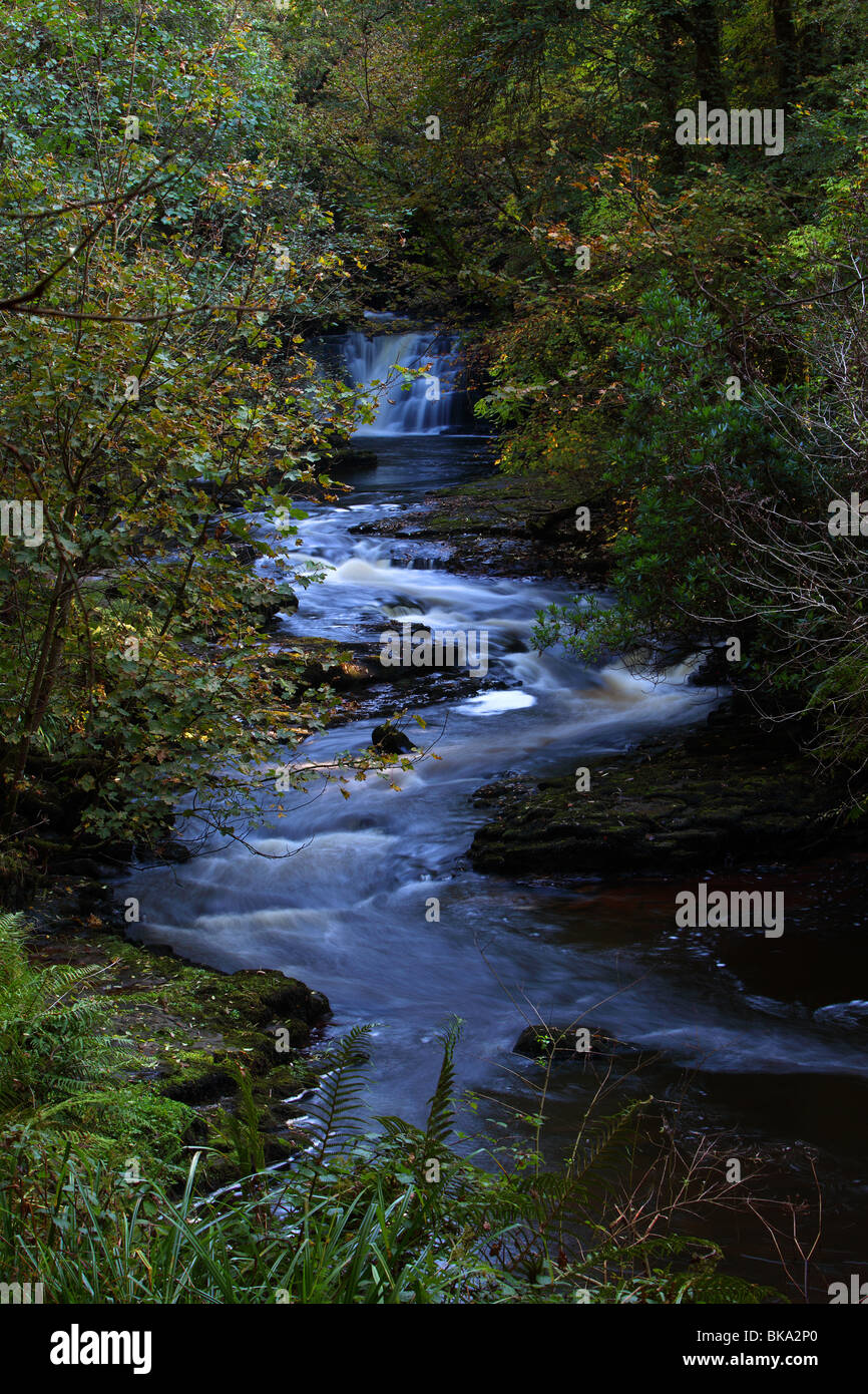 Una cascata sulla la Mulcair fiume che scorre attraverso la Clare Glens vicino a Newport County Tipperary Foto Stock