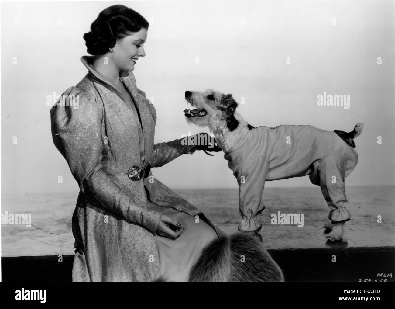 Dopo la sottile MAN (1936) Myrna Loy AFTM 001P Foto Stock