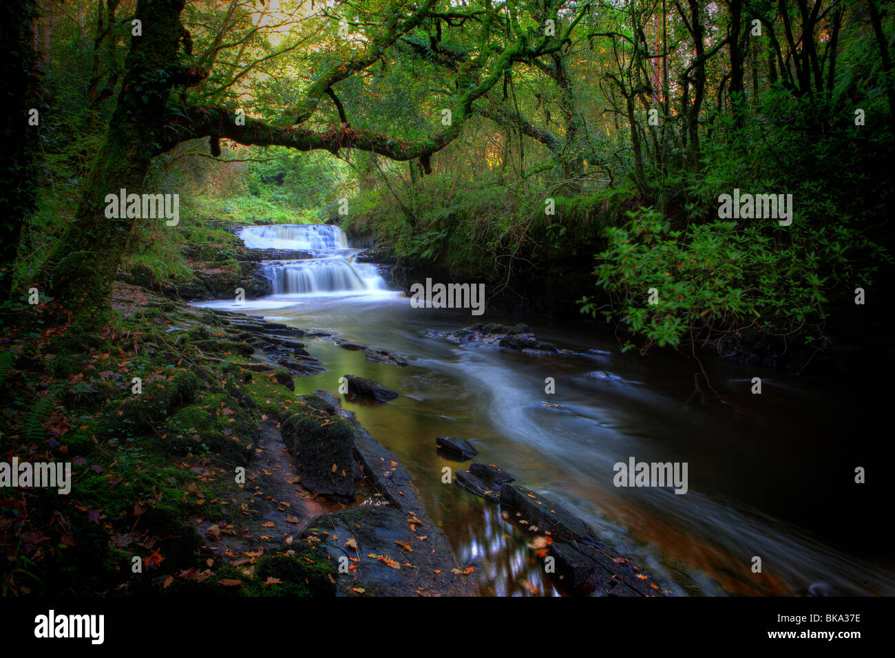 Una cascata sulla la Mulcair fiume che scorre attraverso la Clare Glens vicino a Newport County Tipperary Foto Stock