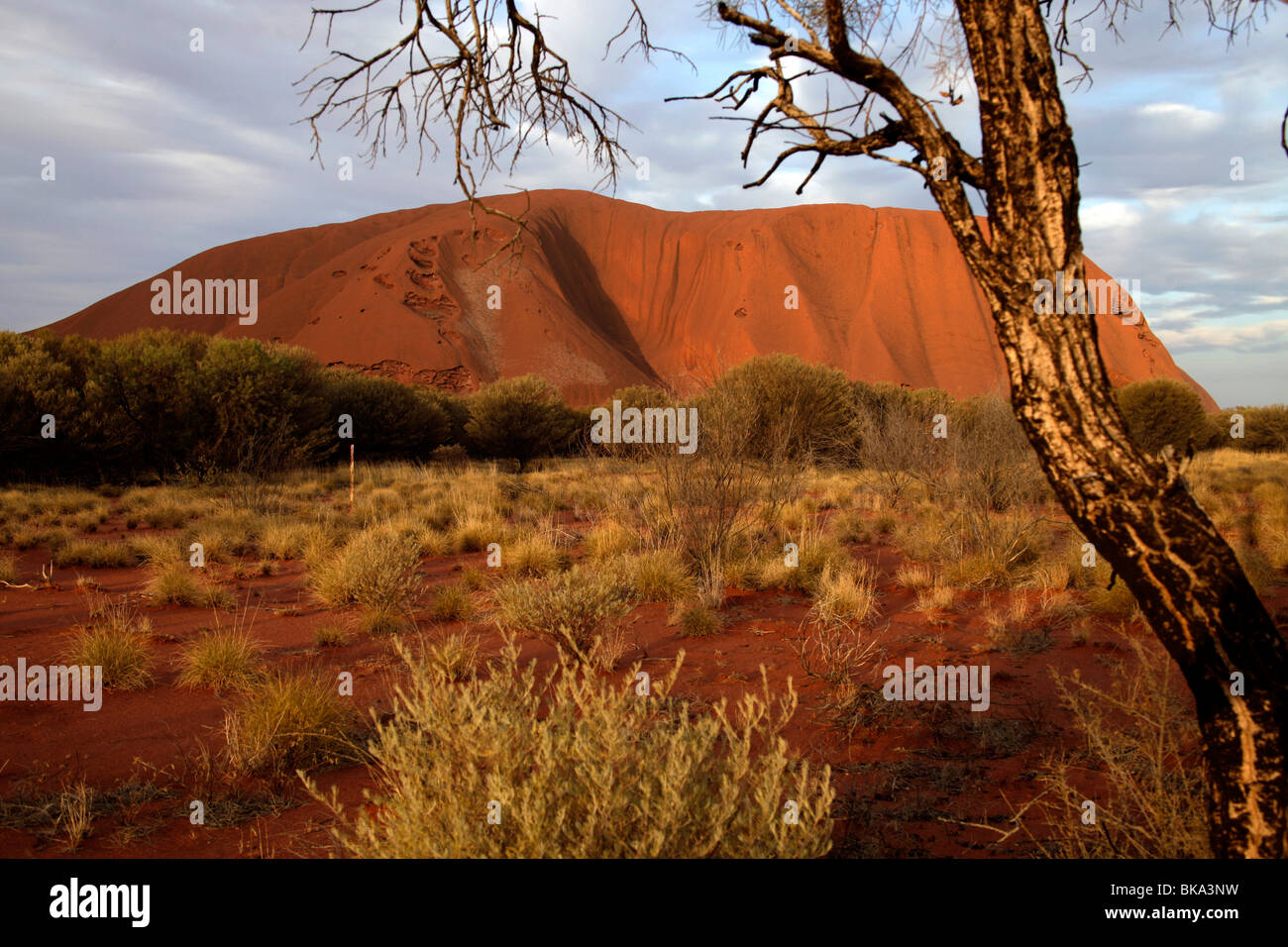 Rinomato in tutto il mondo la formazione di arenaria o di Uluru Ayers Rock , Territorio del Nord, l'Australia Foto Stock