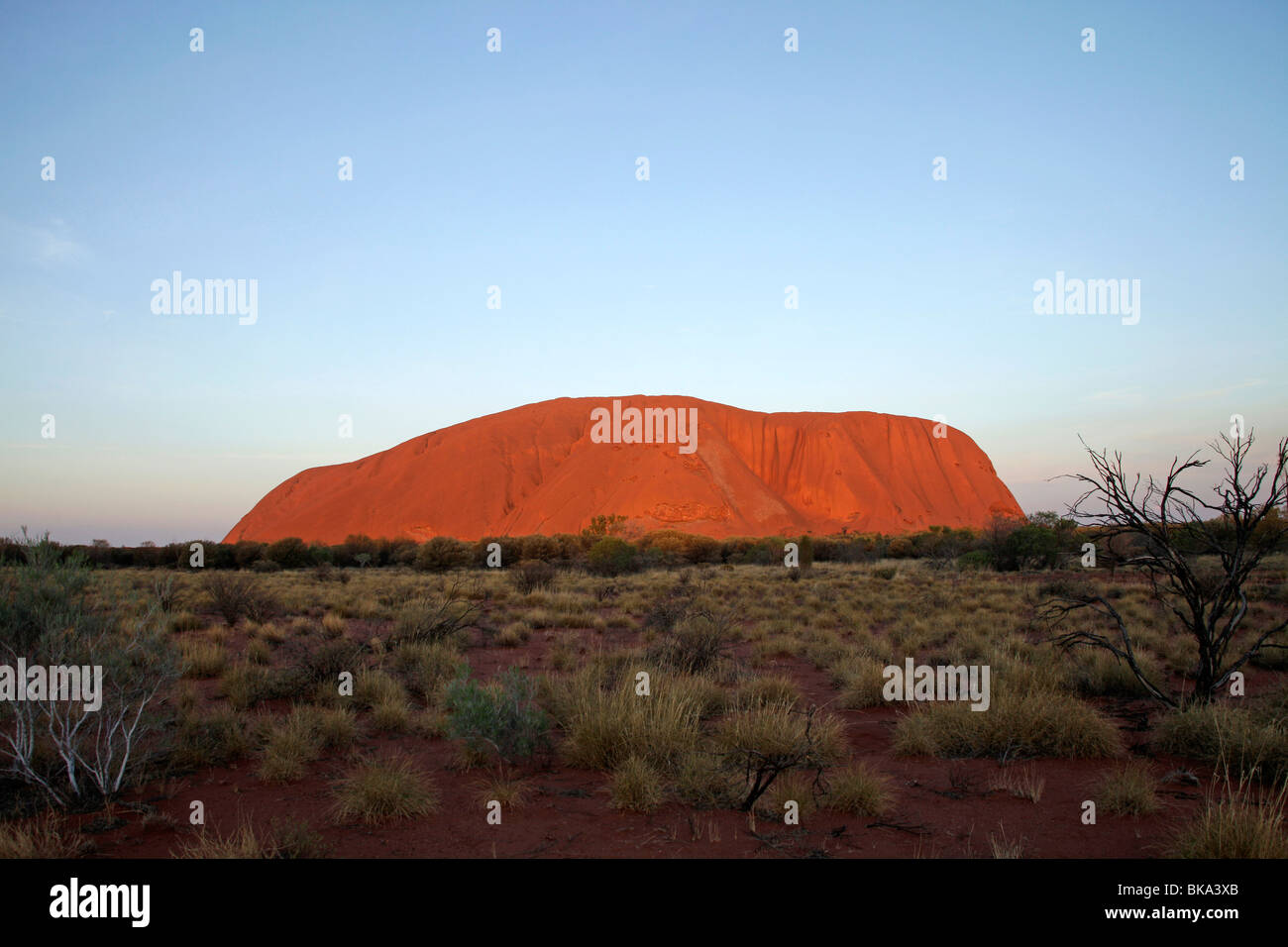 Rinomato in tutto il mondo la formazione di arenaria o di Uluru Ayers Rock al tramonto, Territorio del Nord, l'Australia Foto Stock