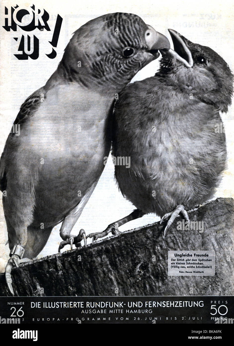 Riviste / riviste, 1955, 'Hör Zu', numero 26, titolo, 'Ungleiche Freunde' (amici dispari), edizione Hamburg Mitte, , Foto Stock