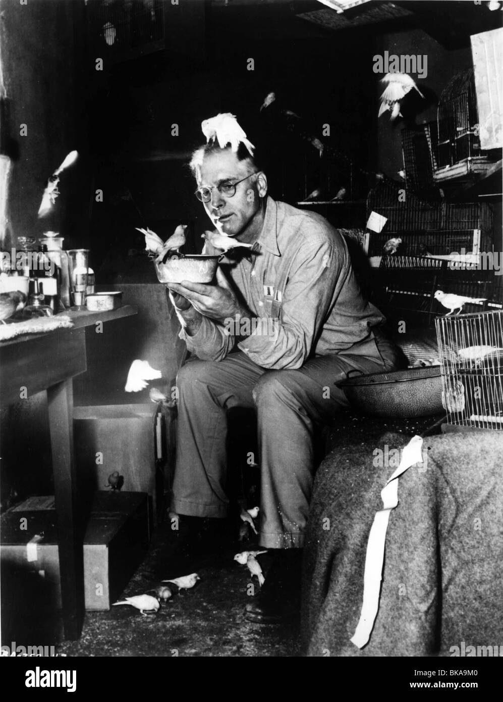 L'uomo uccello di Alcatraz (1962) BURT LANCASTER BOA 001P Foto Stock