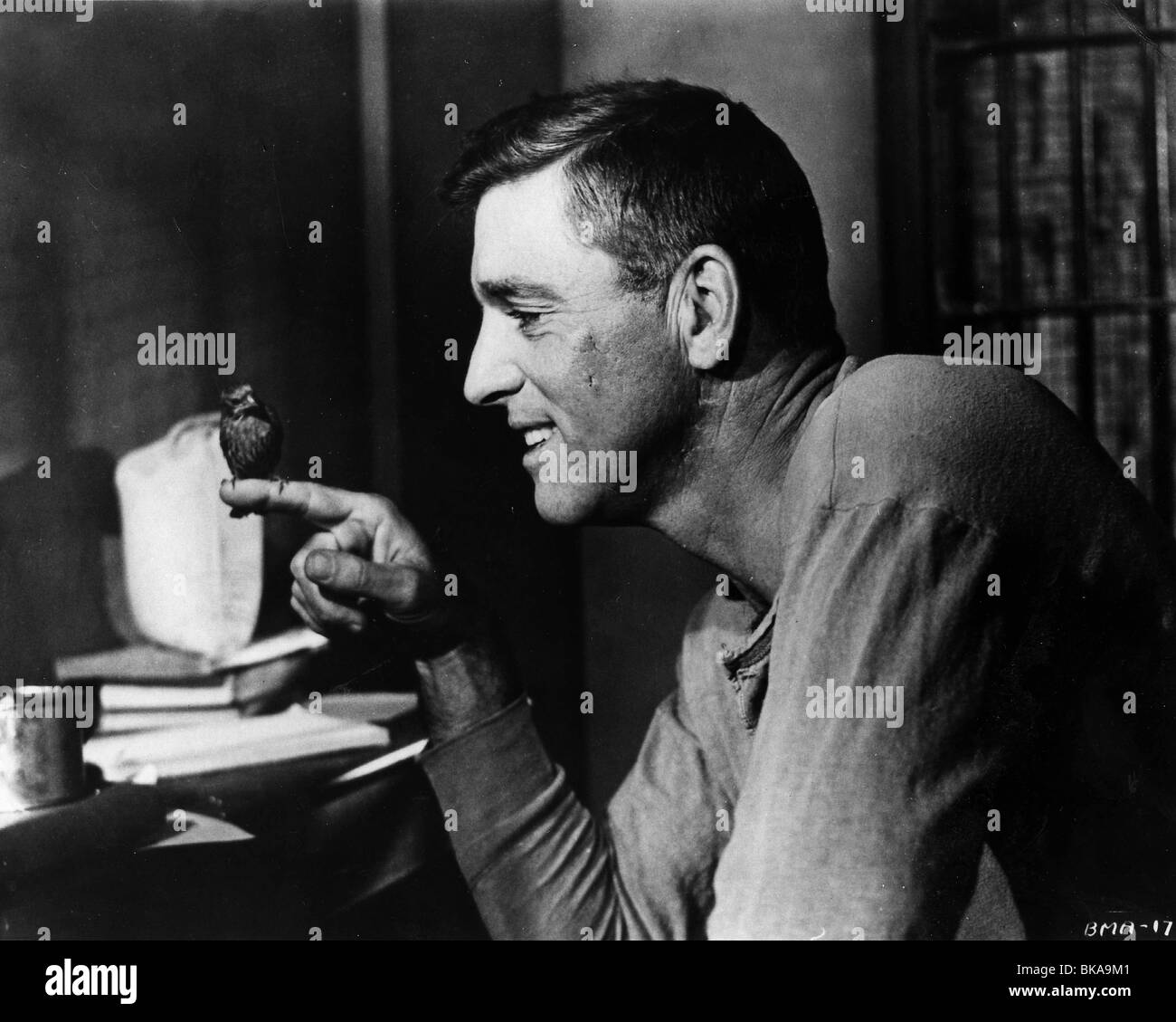 L'uomo uccello di Alcatraz (1962) BURT LANCASTER BOA 002P Foto Stock
