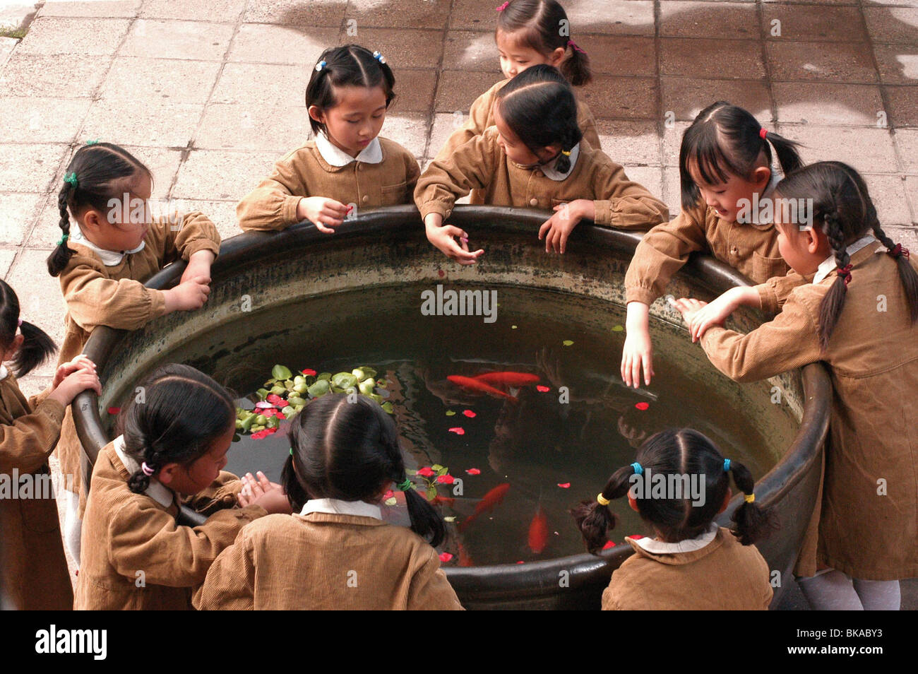 Kan shang qu hen mei piccoli fiori rossi Anno : 2006 - Cina Direttore : Zhang Yuan Foto Stock