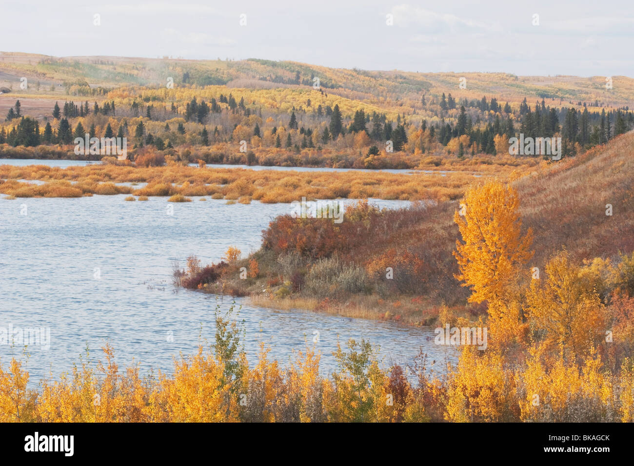 Calgary, Alberta, Canada; colori autunnali presso il serbatoio di Glenmore Foto Stock