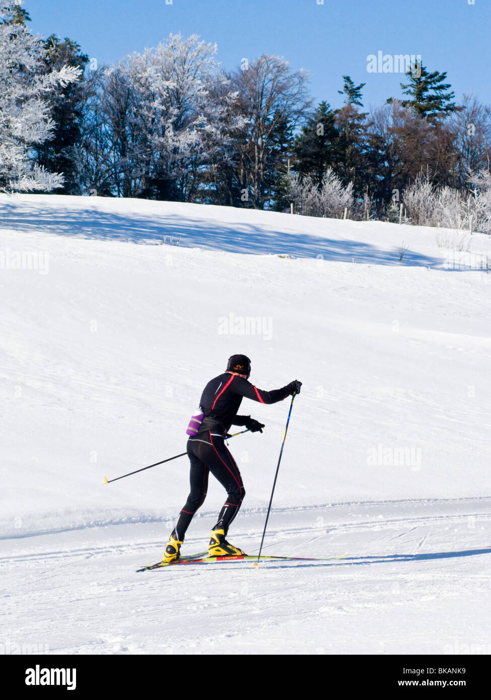 Cross country sciatore sci / sci francesi nella località alpina di Plateau de Sur Lyand. Ain dipartimento di Francia. Foto Stock