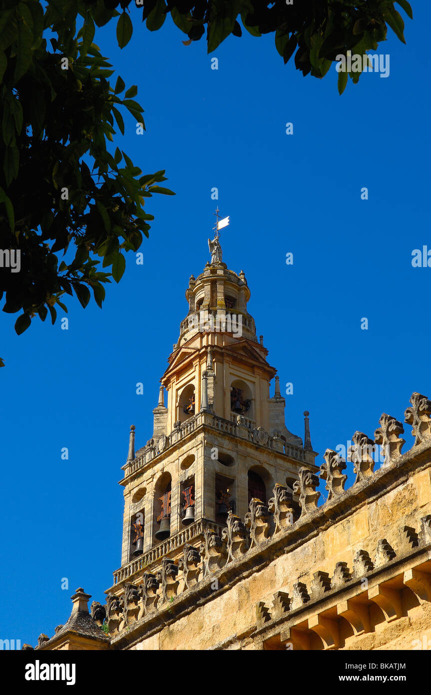 Torre minareto della Grande Moschea di Cordova. Andalusia, Spagna Foto Stock