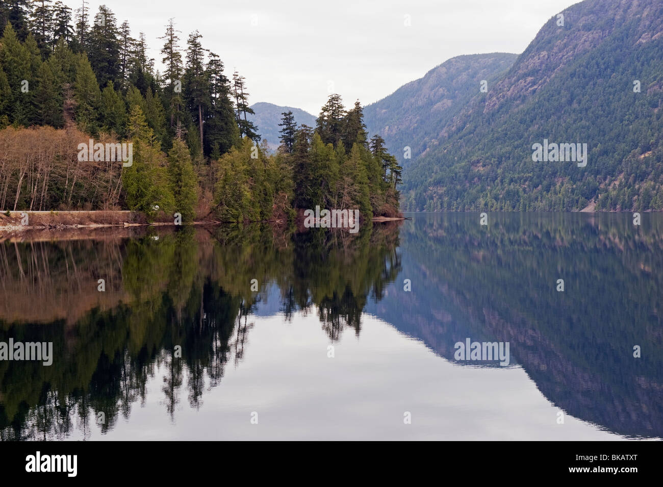 La riflessione in un lago, isola di Vancouver, British Columbia, Canada Foto Stock