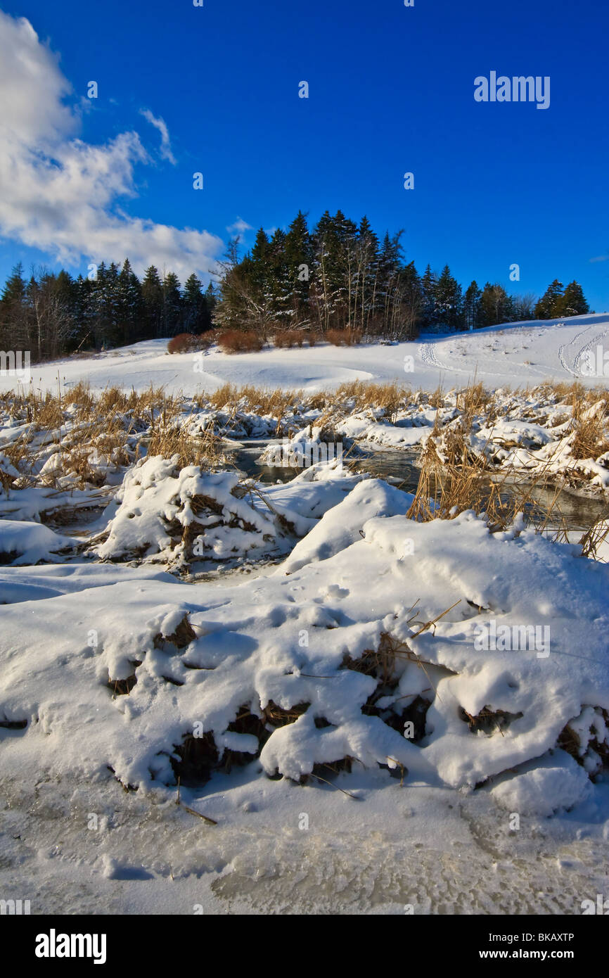 Scena invernale con congelati creek Foto Stock