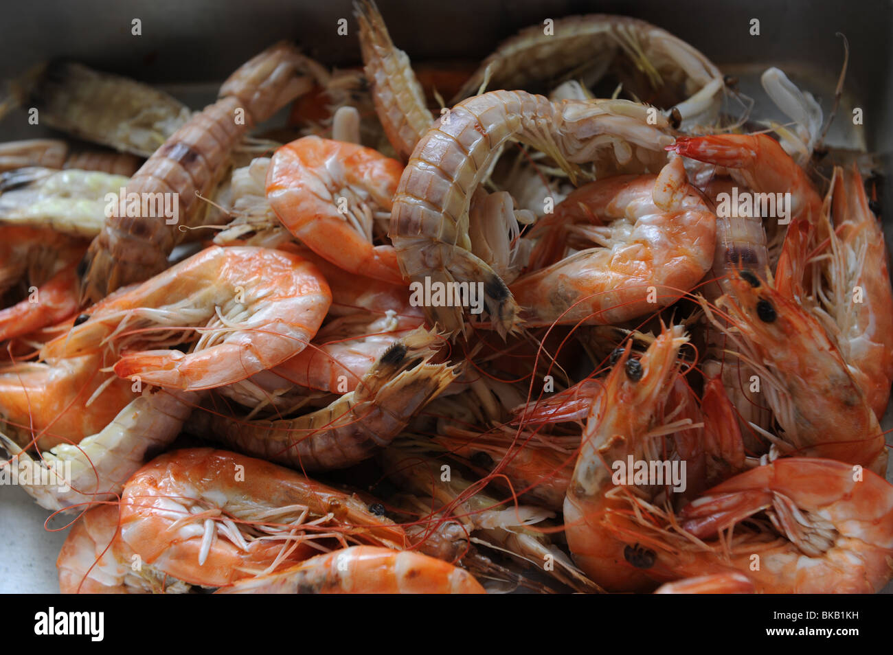 Rock aragoste e gamberoni , Ban Phe mercato del pesce , , di Rayong Thailandia Foto Stock