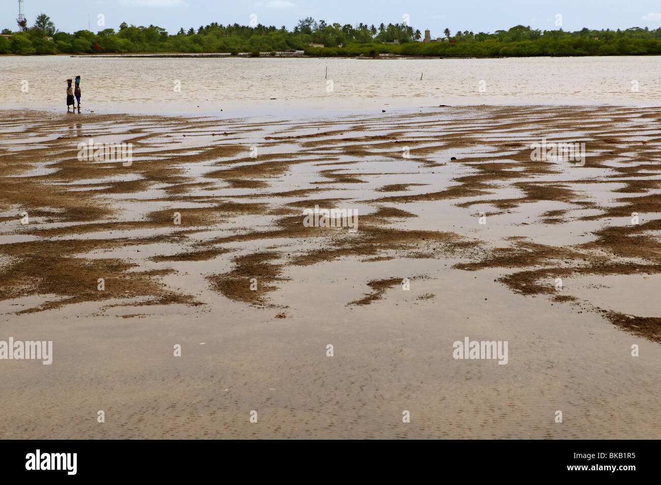 Joal-fadiouth in Africa Senegal shell isola tutto il pavimento realizzato di gusci di vongole Foto Stock