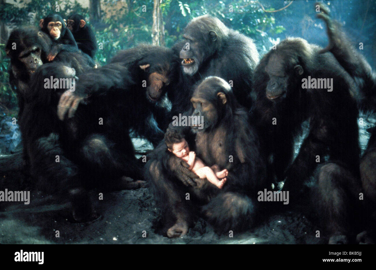 The legend of tarzan lord of the apes immagini e fotografie stock ad