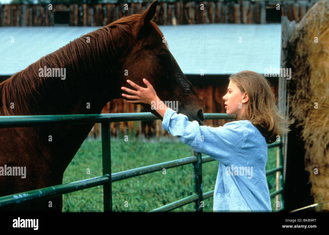 Il cavallo WHISPERER Scarlett Johansson HRWH 109 Foto Stock
