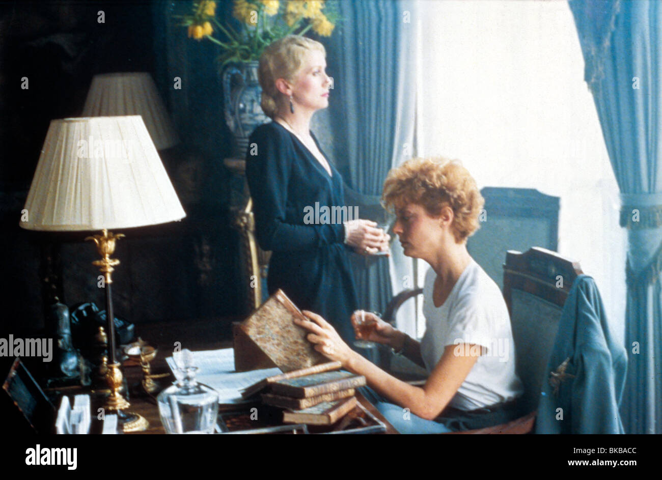La Fame (1983) Catherine Deneuve, Susan Sarandon HNG 004 Foto Stock