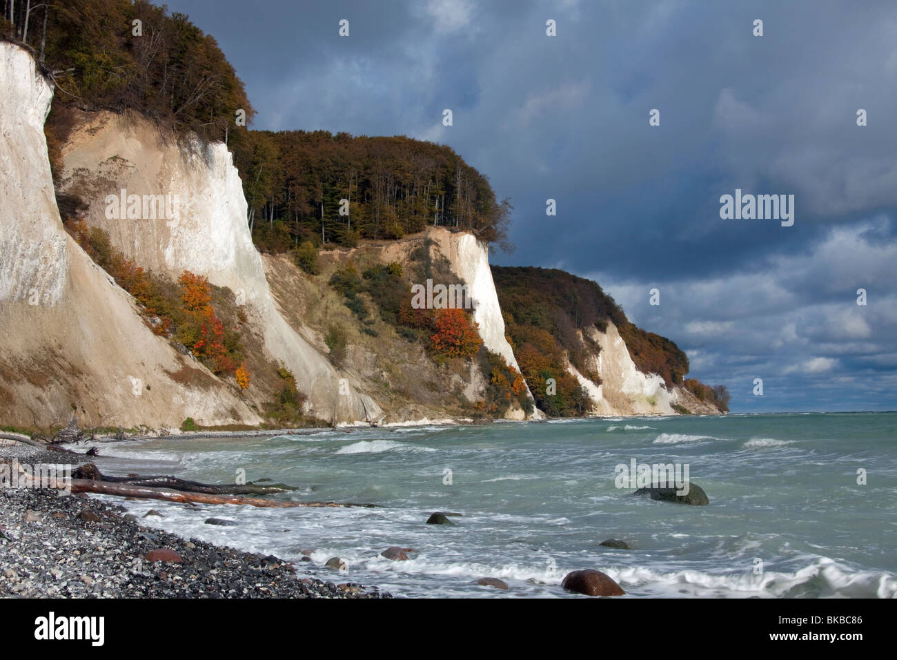 Chalk cliffs nel Jasmund Parco nazionale sull'isola di Ruegen, Meclemburgo-Pomerania Occidentale, Germania. Foto Stock