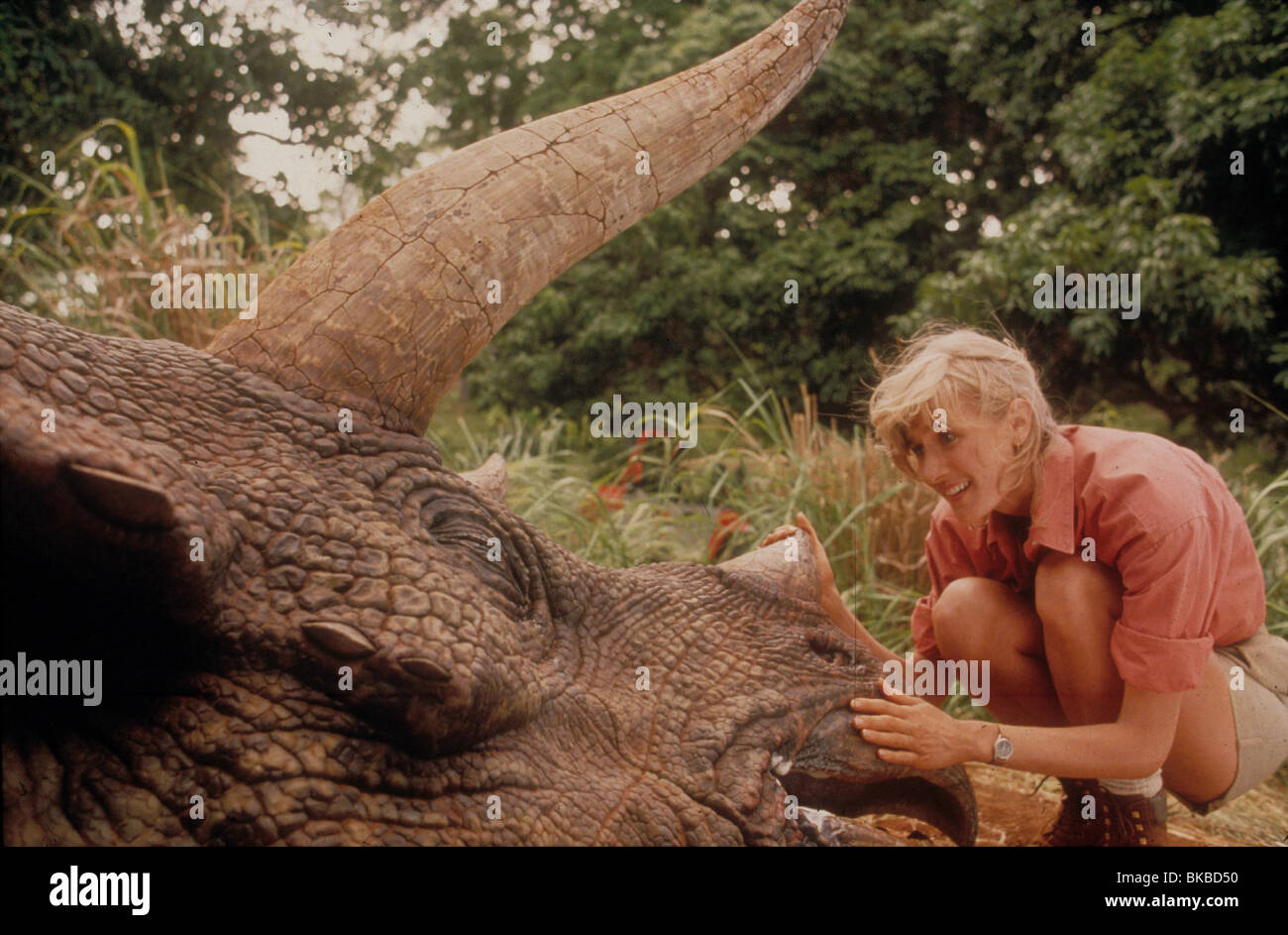 JURASSIC PARK -1993 Laura Dern Foto Stock