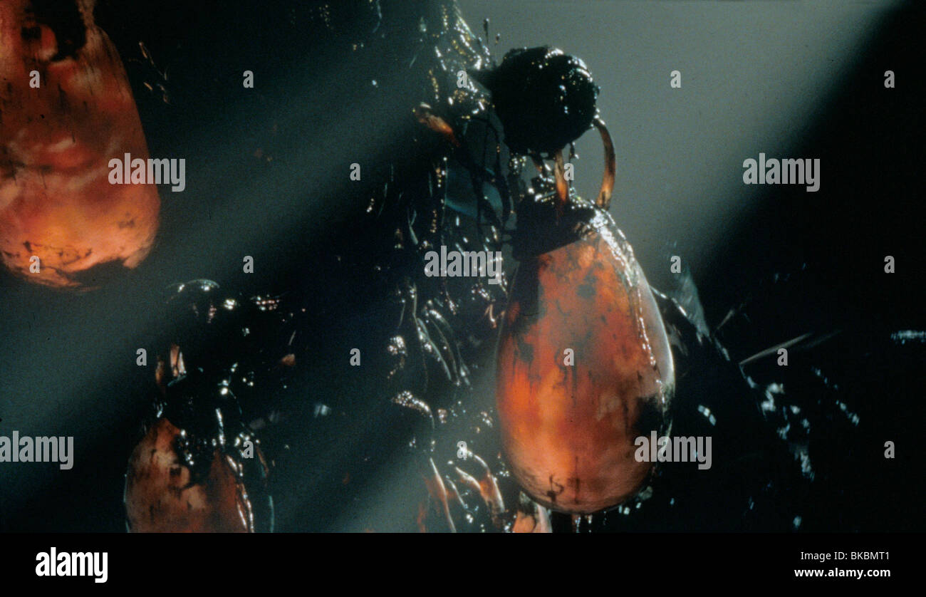 La matrice -1999 Foto Stock