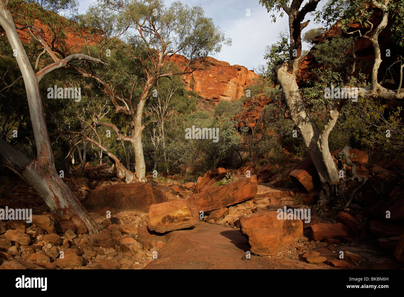 Kings Canyon, parte del Parco Nazionale Watarrka , Territorio del Nord, l'Australia Foto Stock