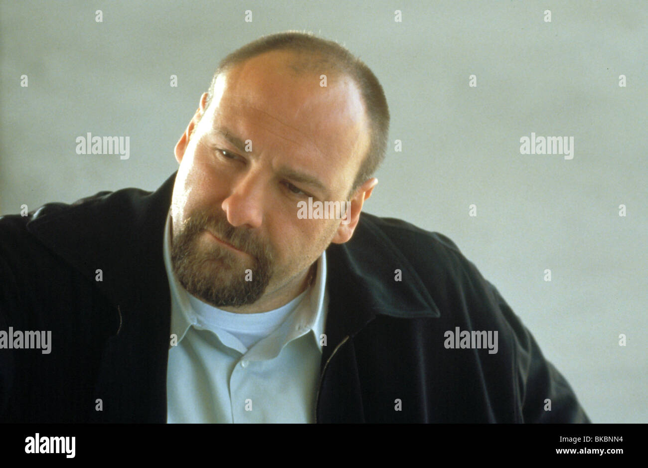 IL MESSICANO (2001) JAMES GANDOLFINI MEXI 060 Foto Stock