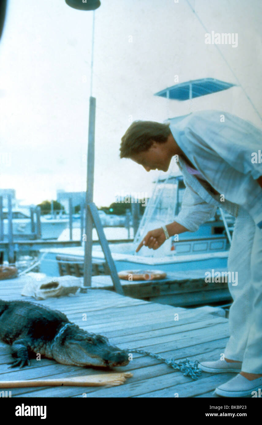 MIAMI VICE (TV - 1984) Don Johnson MMVC 021 Foto Stock