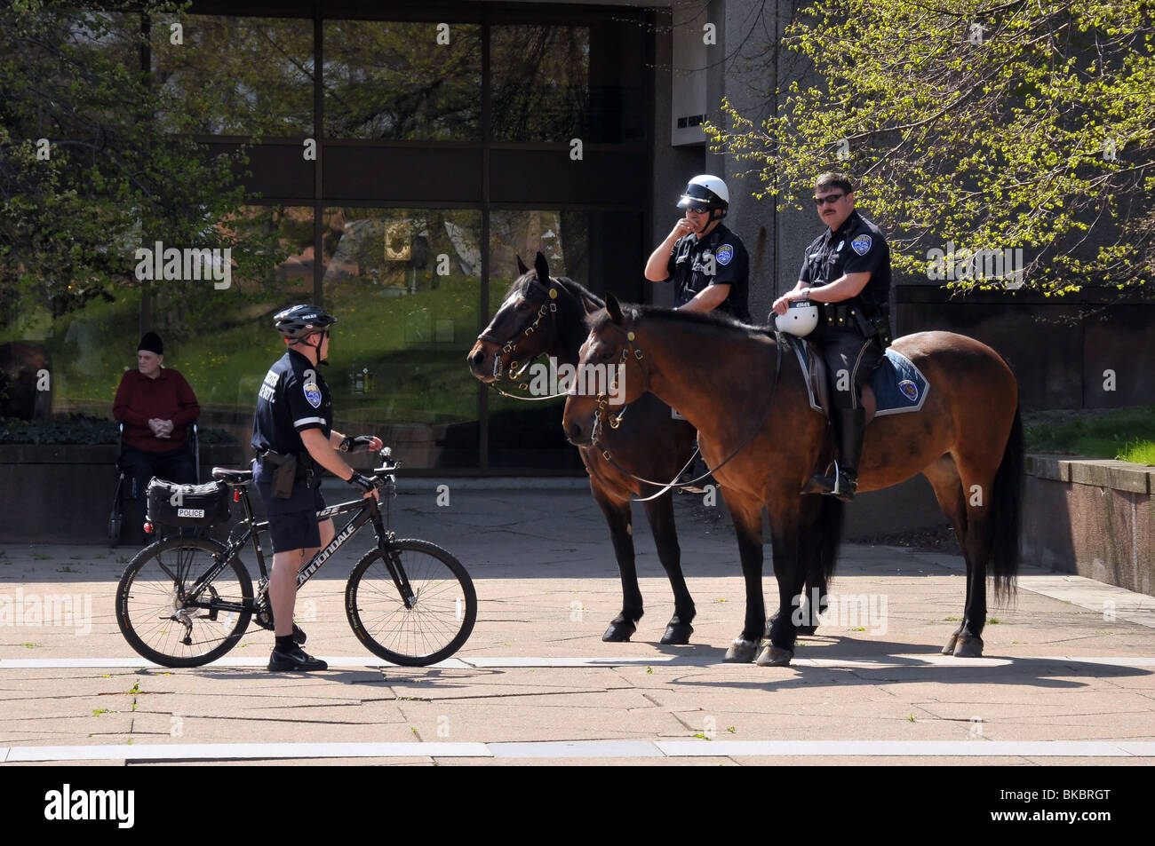 Polizia a cavallo. Foto Stock