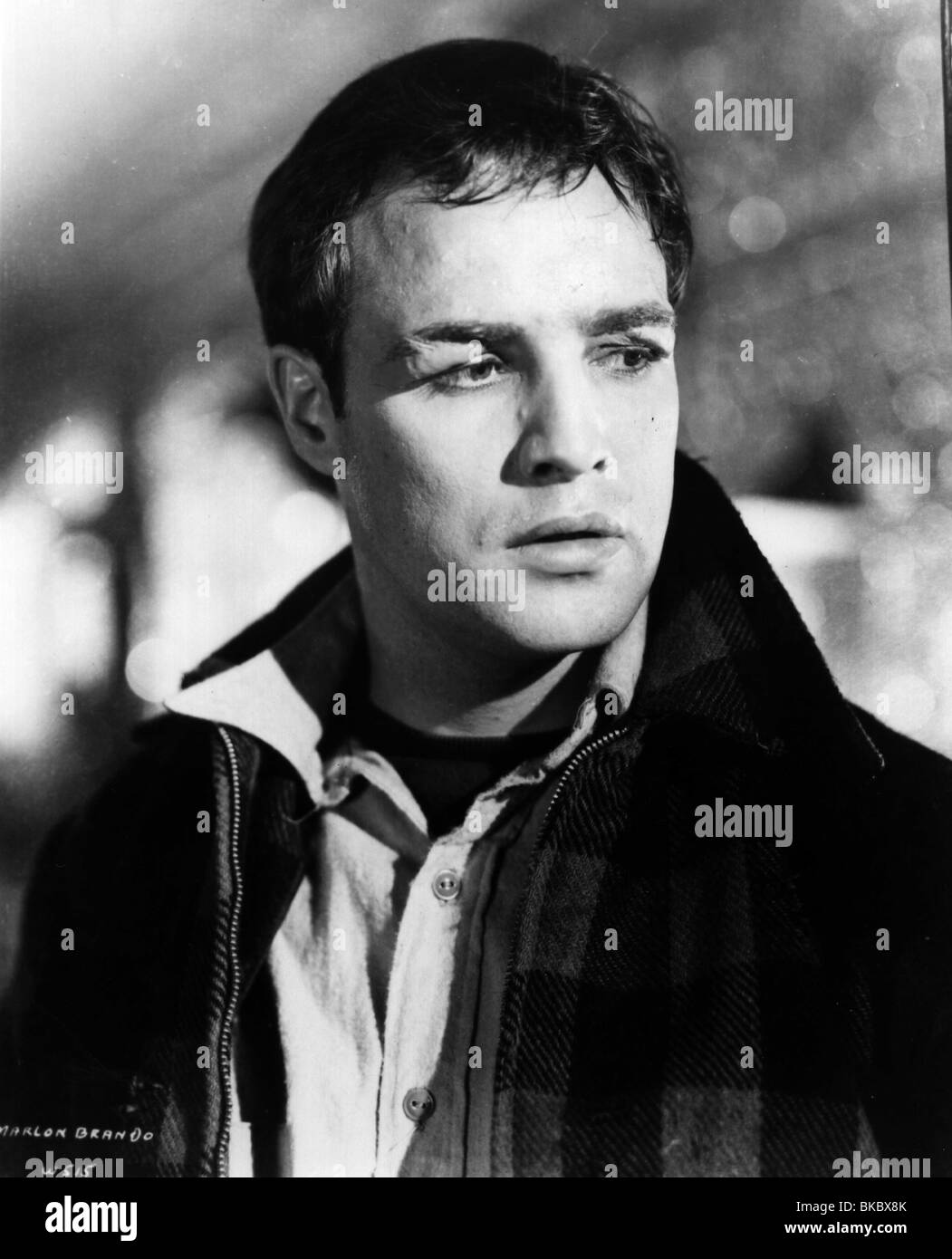 Sul lungomare (1954) Marlon Brando OTWF 012P Foto Stock