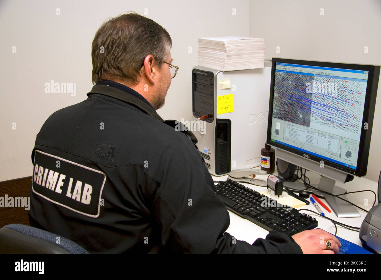 Analista di impronte digitali utilizzando un computer per classificare le impronte digitali in un laboratorio del crimine. Foto Stock