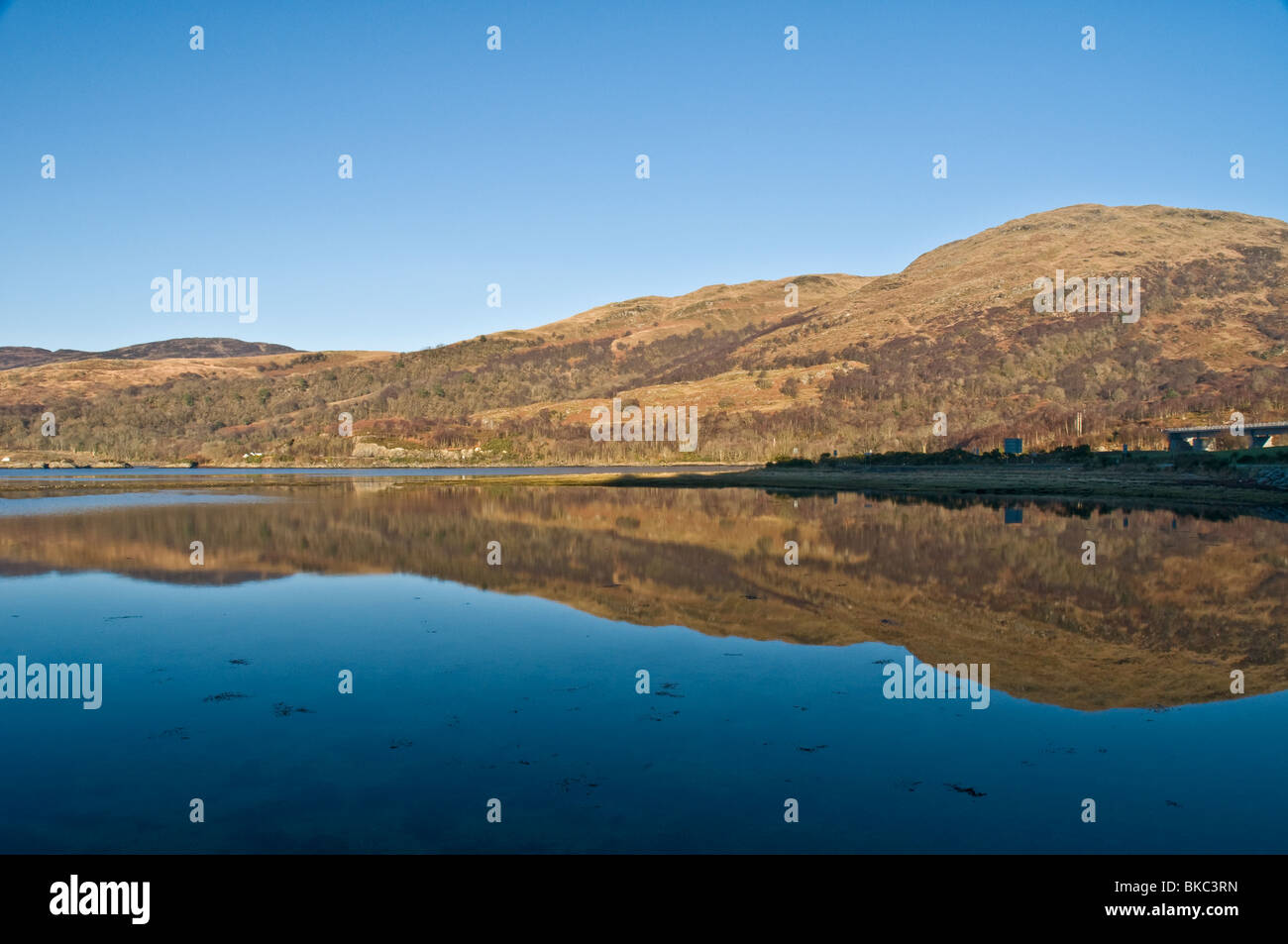 Riflessioni sul Loch Creran a sud Creagan Argyll & Bute Scozia Scotland Foto Stock