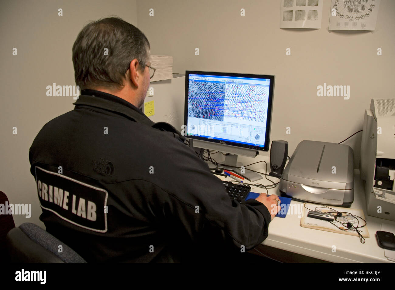 Analista di impronte digitali utilizzando un computer per classificare le impronte digitali in un laboratorio del crimine. Foto Stock