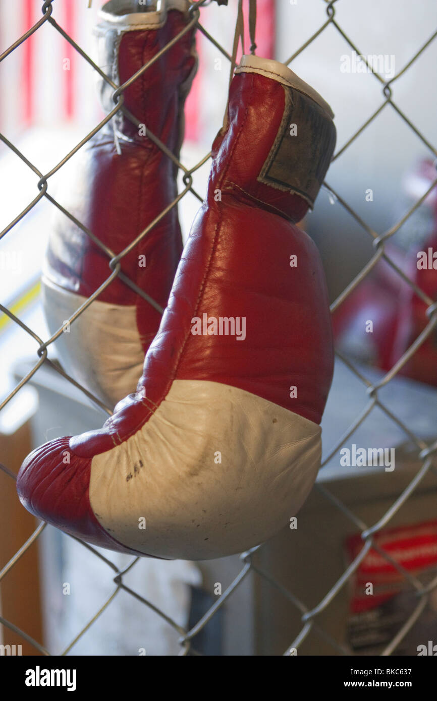 Coppia di Red guantoni da pugilato appeso alla catena collegamento recinto Foto Stock