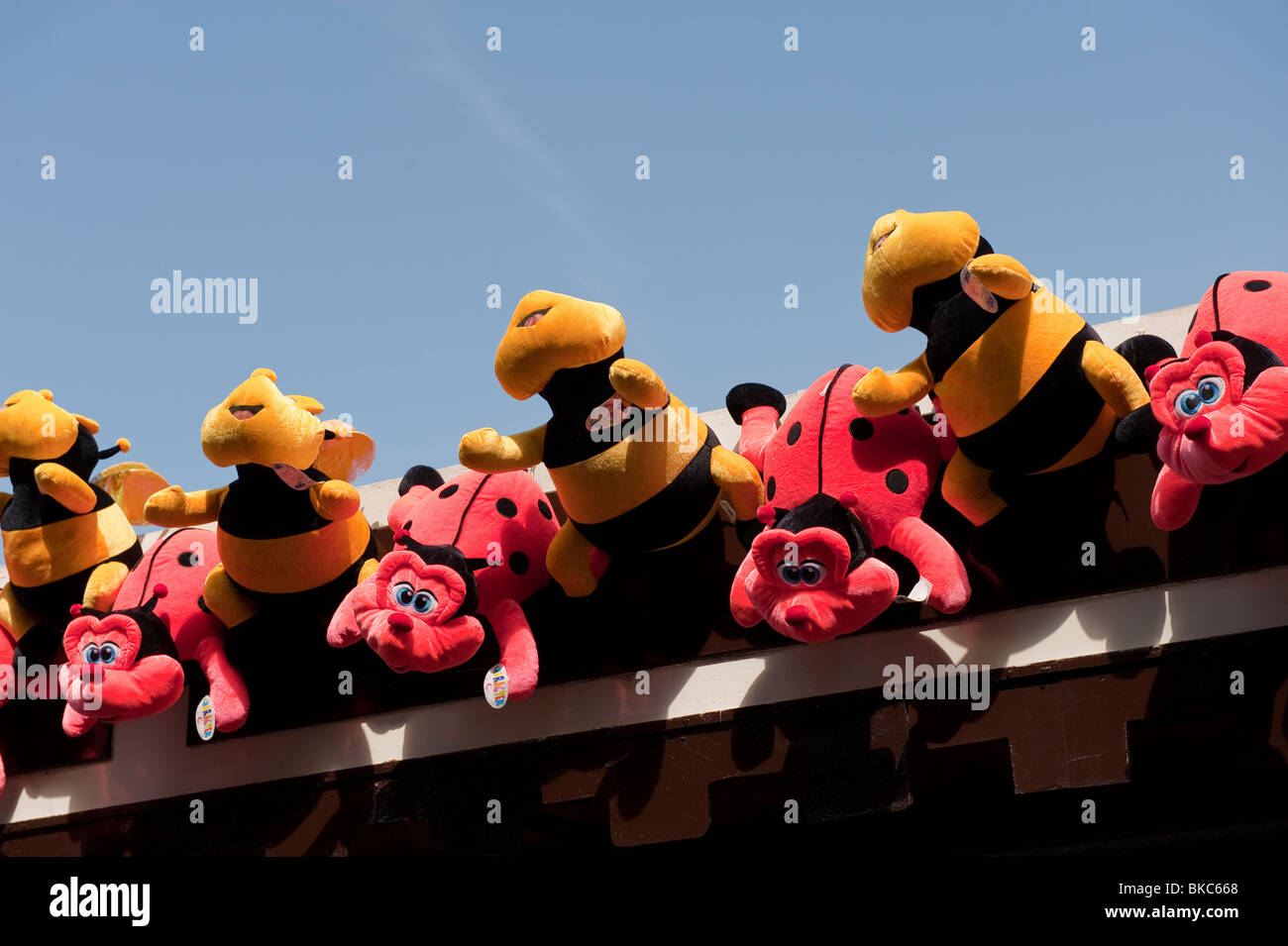 Farcite peluche alla fiera di bombi Foto Stock