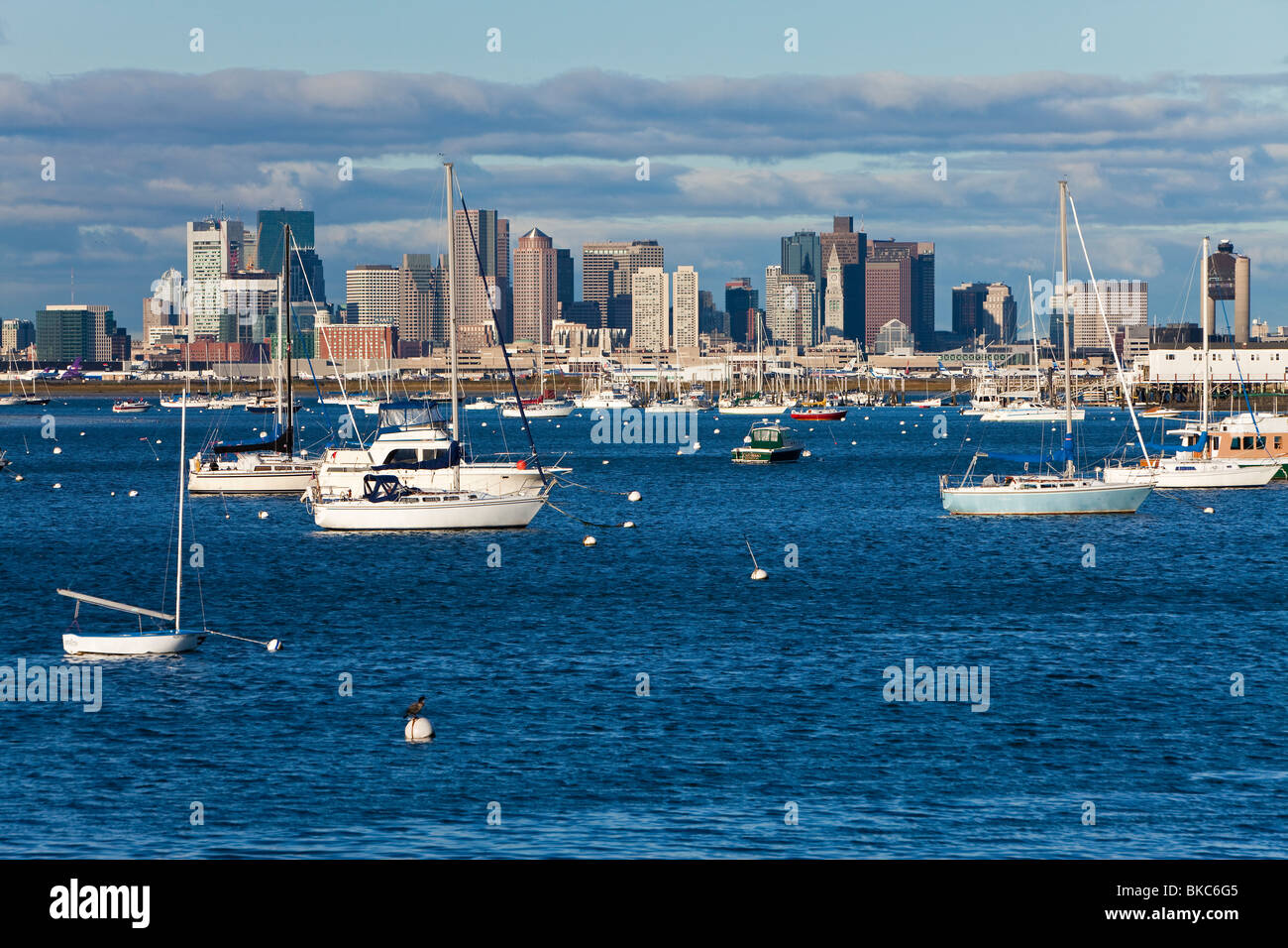 Stati Uniti d'America, Massachusetts, Boston, skyline della città e le barche ormeggiate nel porto Foto Stock