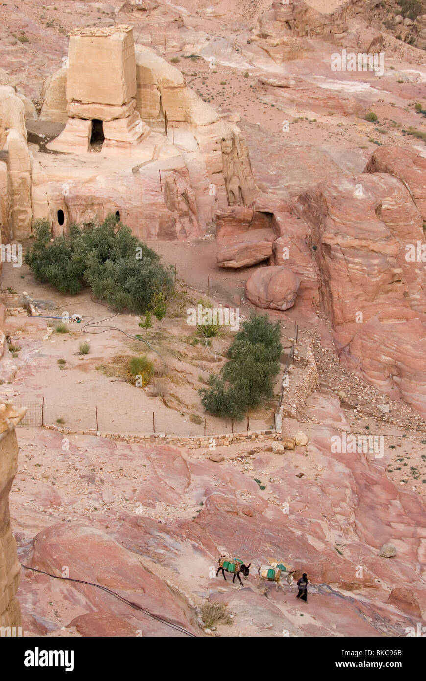 Vista aerea del beduino che conduce i suoi asini tra le abitazioni di Nabataean. Petra, Giordania Foto Stock