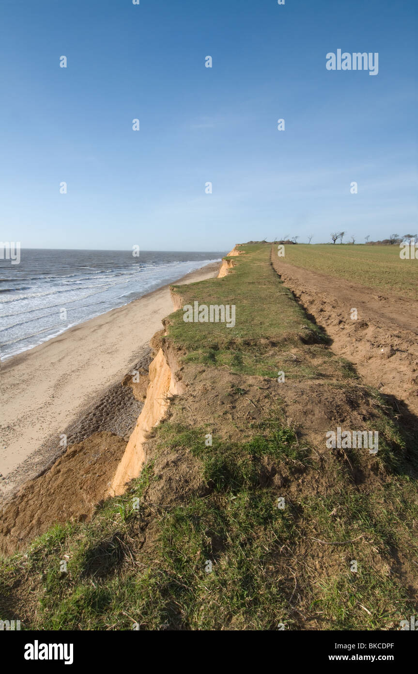 Inquadratura dal Clifftops a Covehithe nel Suffolk che mostrano danni per i sentieri da erosione costiera Foto Stock