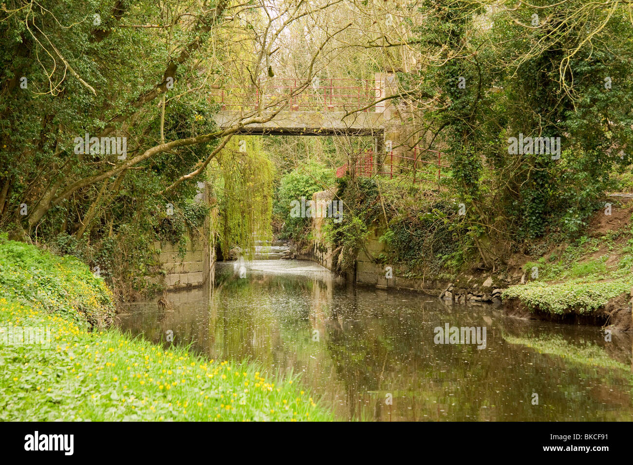 Il vecchio canale in disuso lockgates a moneypenny la serratura sul newry a portadown canal Foto Stock