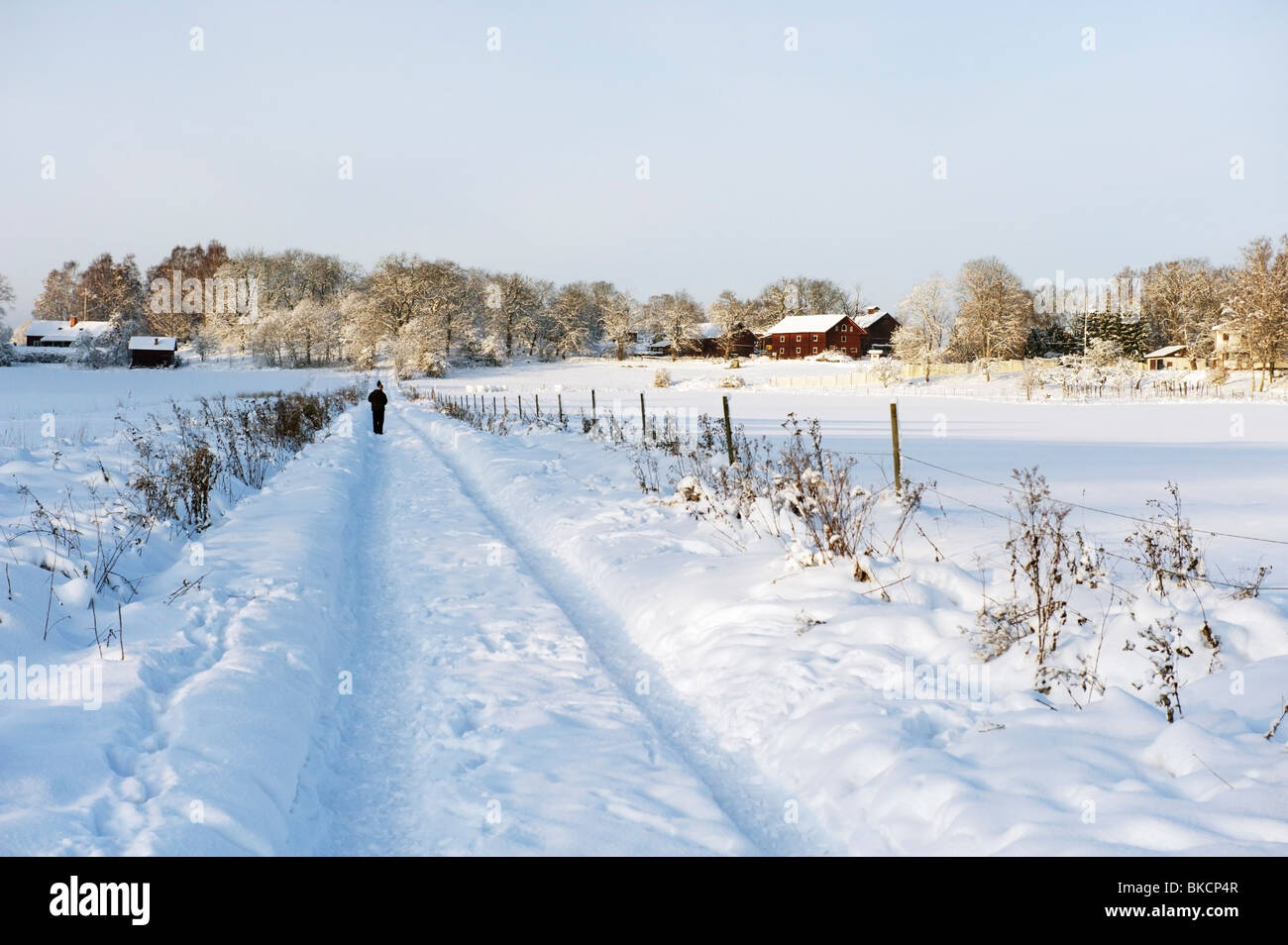 Inverno sul Natale in Svezia Foto Stock