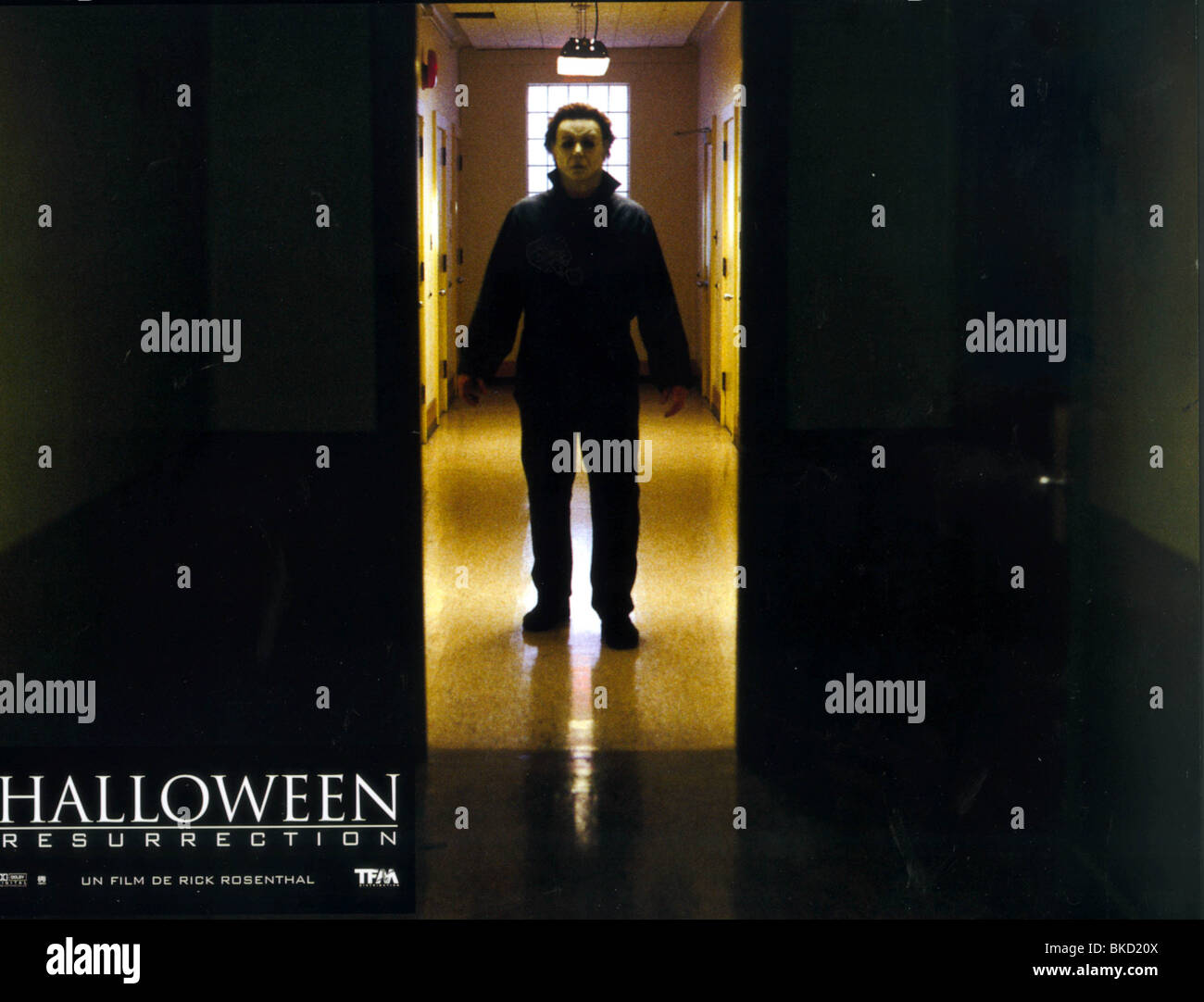 HALLOWEEN: Resurrezione (2002) HALLOWEEN 8 (ALT) H2K (ALT) BRAD LOREE H2K 001FOH Foto Stock