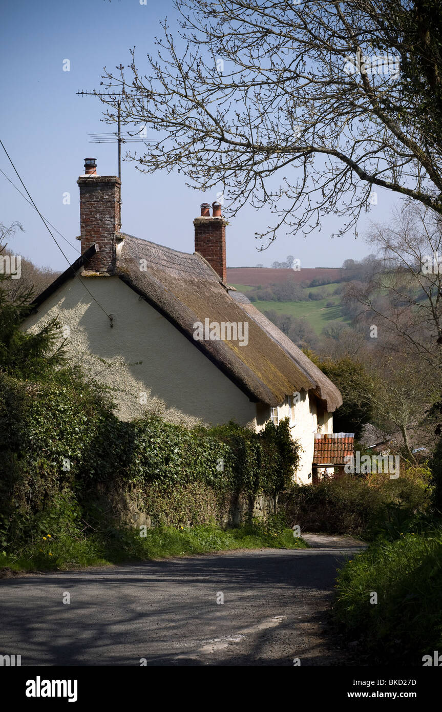 Cottage con tetto in paglia in Teign Valley,a Devon Lane,Canonteign,Christow,Ashton,Coombe Cross,paese lane, Devon, vista generale Foto Stock