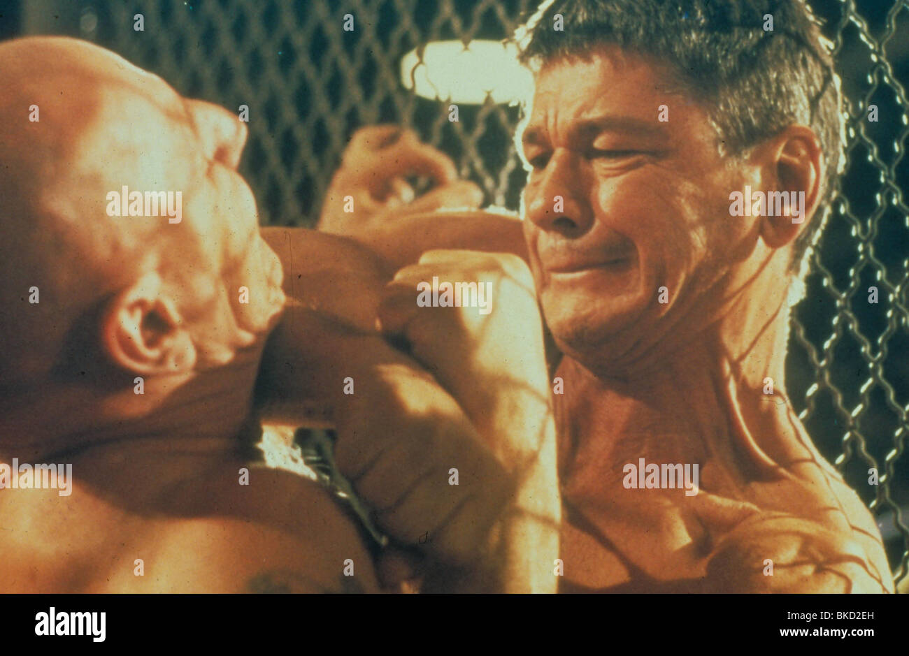 HARD TIMES (1975) STREETFIGHTER (ALT) Charles Bronson HRT 003 Foto Stock