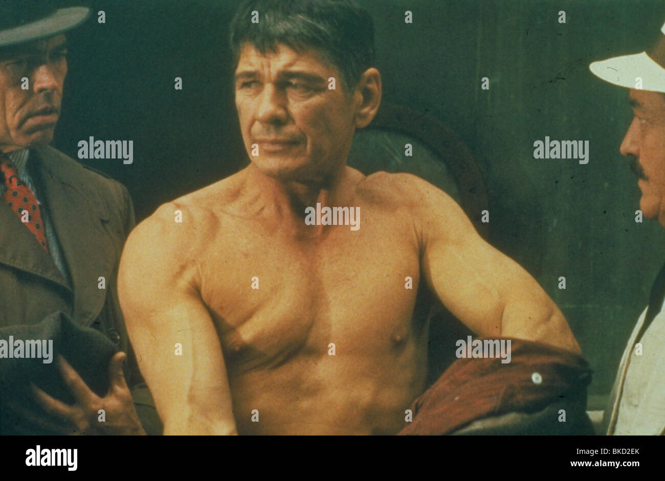 HARD TIMES (1975) STREETFIGHTER (ALT) Charles Bronson HRT 008 Foto Stock