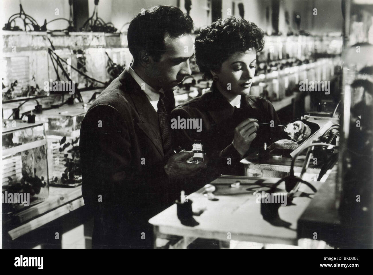 Altamente pericolosi (1950) DANE CLARK, Margaret Lockwood HDAN 001P Foto Stock